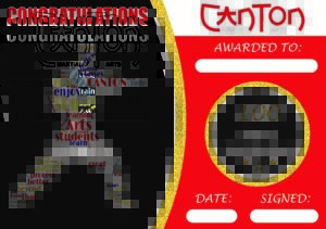 canton martial arts graphic design by ravenbridge ltd